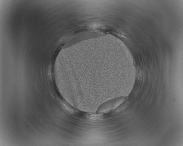 X0000072530670200608111748