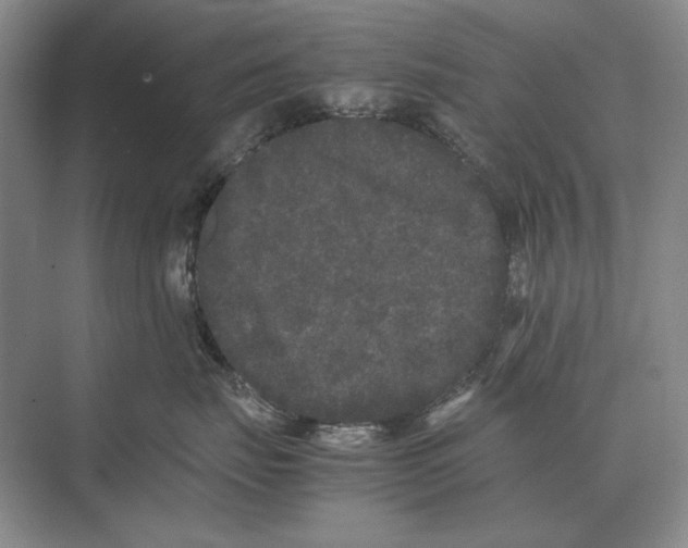 X0000072530671200608111748