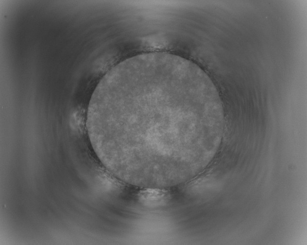 X0000072530672200608111748