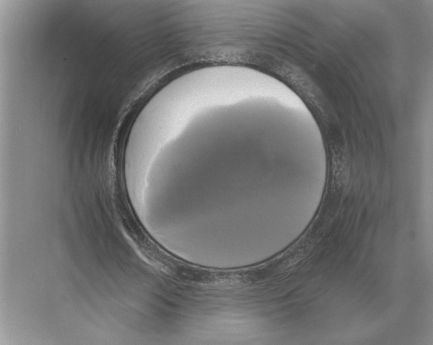 X0000072530674200608111747