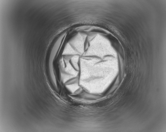 X0000072530677200608111747