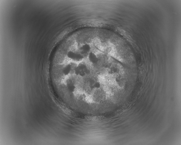 X0000072530679200608111747