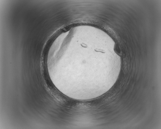 X0000072530680200608111747