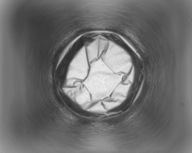 X0000072530681200608111747