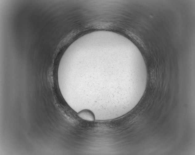 X0000072530682200608111747