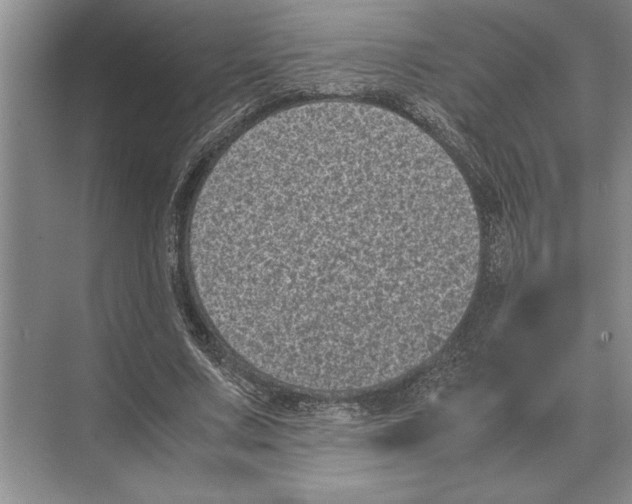 X0000072530683200608111747