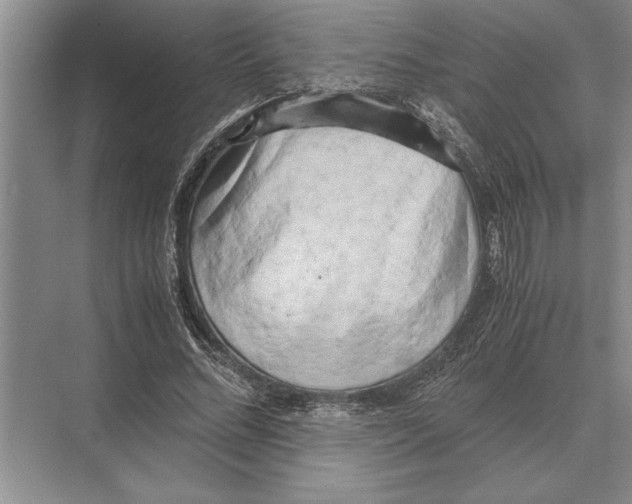 X0000072530684200608111747