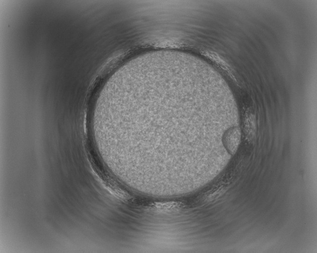 X0000072530686200608111747