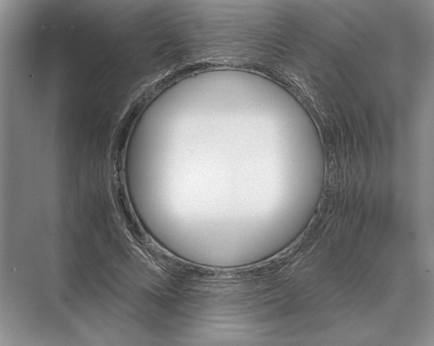 X0000072530688200608111747