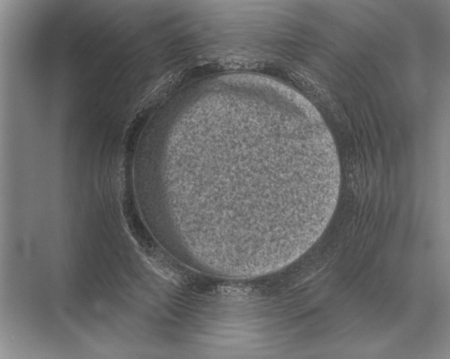 X0000072530690200608111747