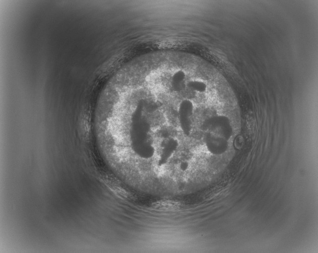 X0000072530691200608111746