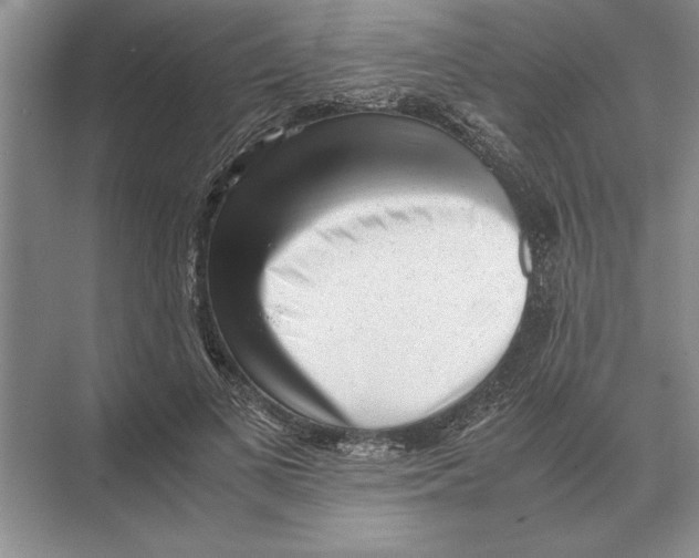 X0000072530693200608111746