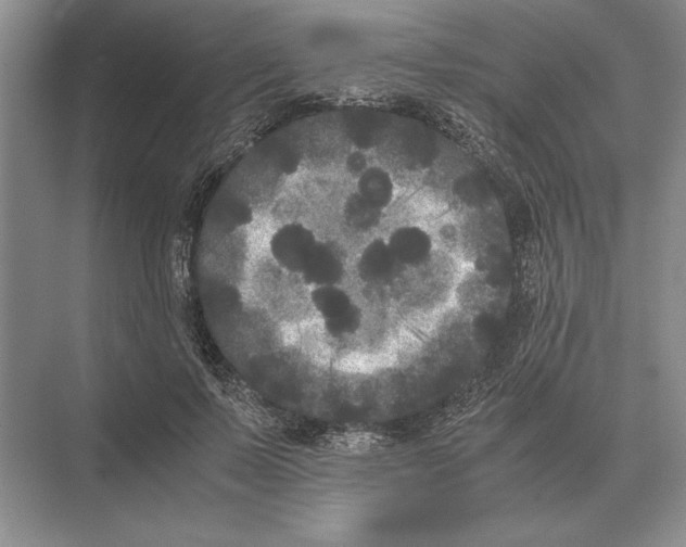 X0000072530695200608111746