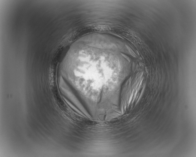 X0000072530696200608111746