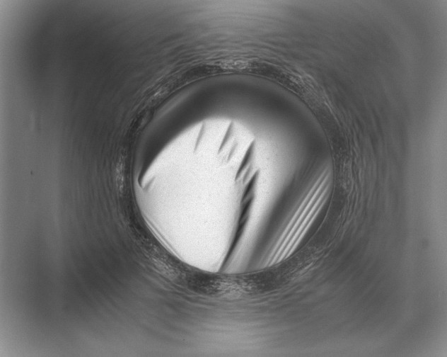 X0000072530697200608111746