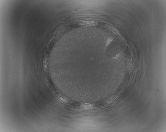 X0000072530701200608111746