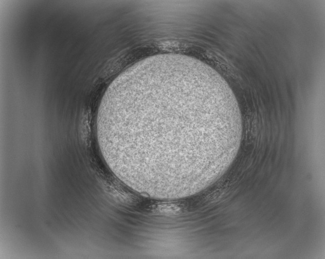 X0000072530702200608111746