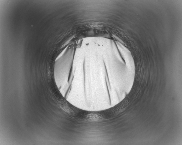 X0000072530704200608111746