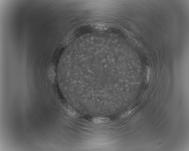 X0000072530707200608111746