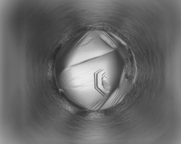 X0000072530708200608111746