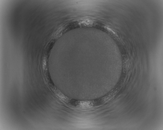 X0000072530709200608111746