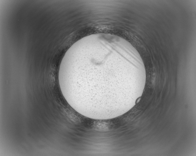 X0000072530710200608111746