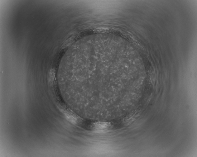 X0000072530711200608111746