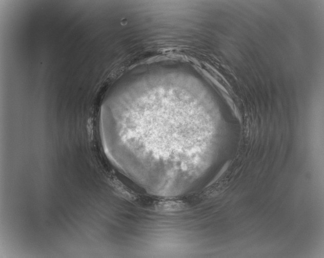 X0000072530716200608111746