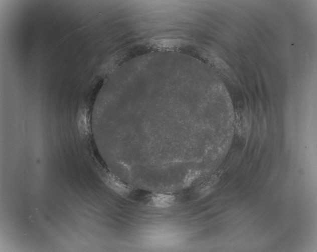 X0000072530718200608111746