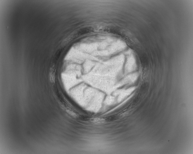 X0000072530719200608111746