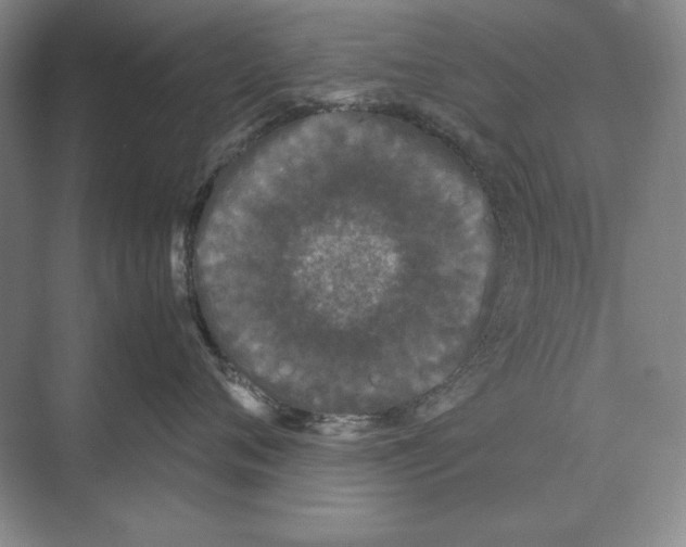 X0000072530720200608111746