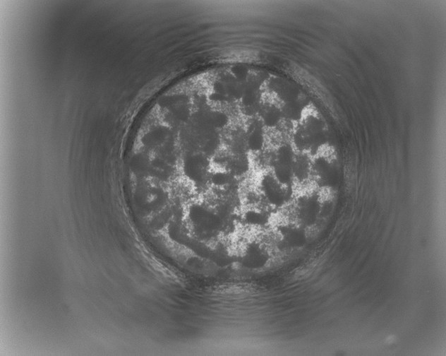 X0000072530721200608111745