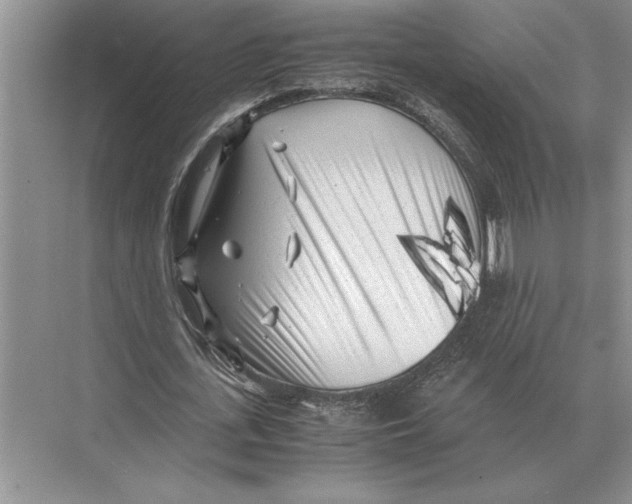 X0000072530723200608111745