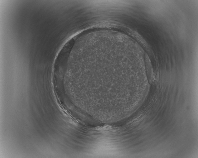 X0000072530724200608111745