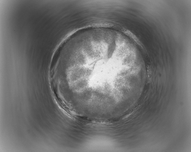 X0000072530726200608111745