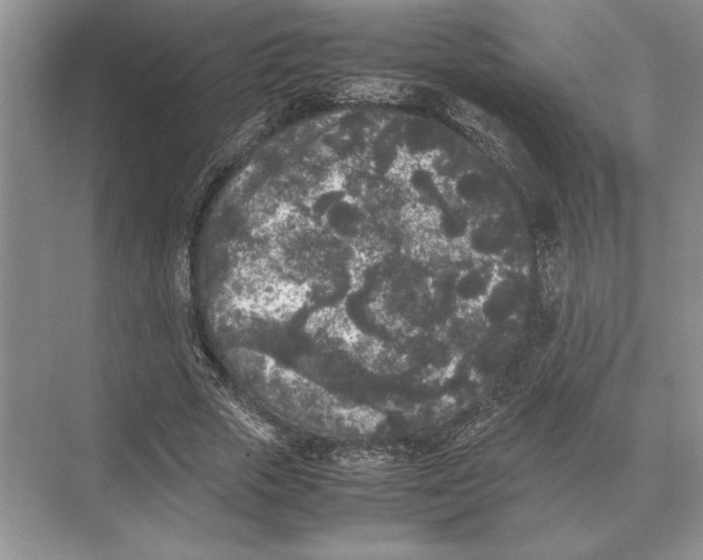 X0000072530729200608111745