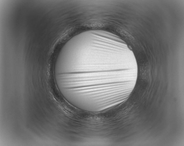 X0000072530735200608111745