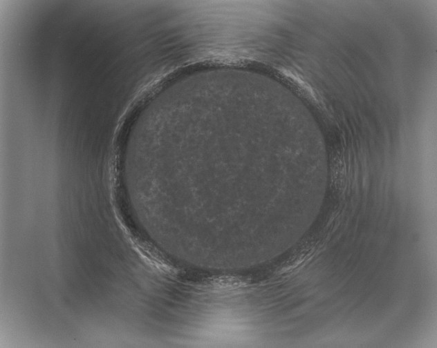 X0000072530736200608111745