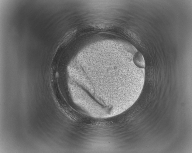 X0000072530738200608111745