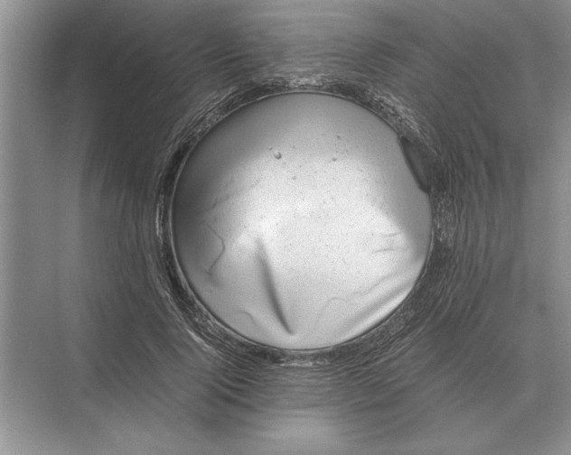 X0000072530740200608111746