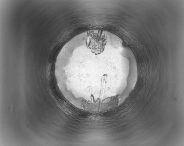 X0000072530742200608111746