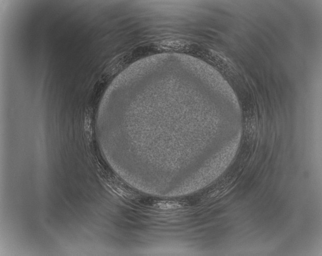 X0000072530749200608111746