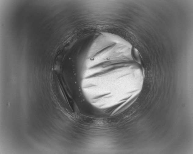 X0000072530750200608111746