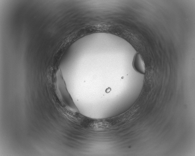 X0000072530752200608111746