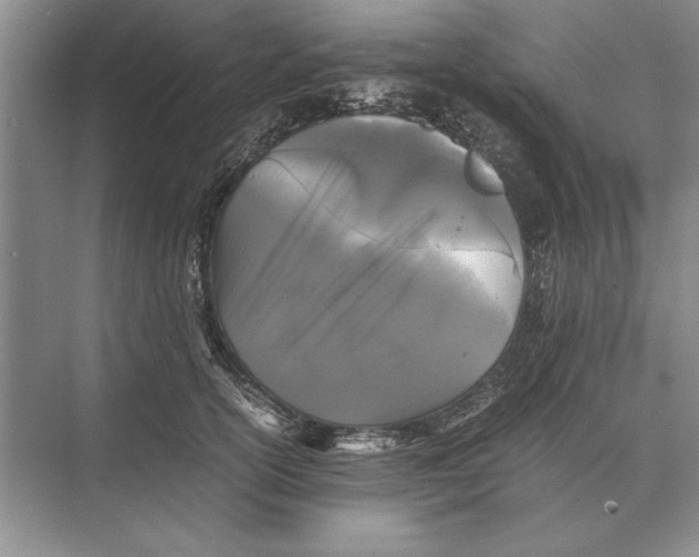 X0000072530754200608111746