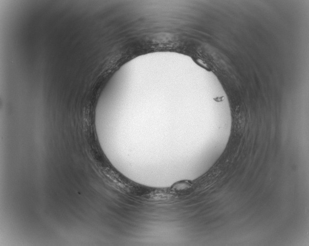 X0000072530756200608111746