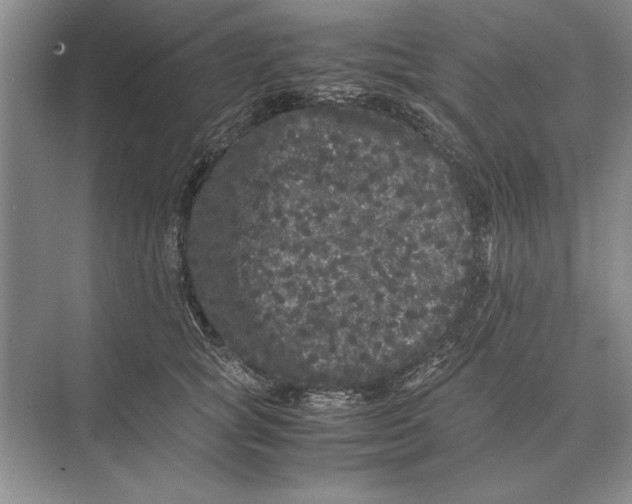 X0000072530757200608111746