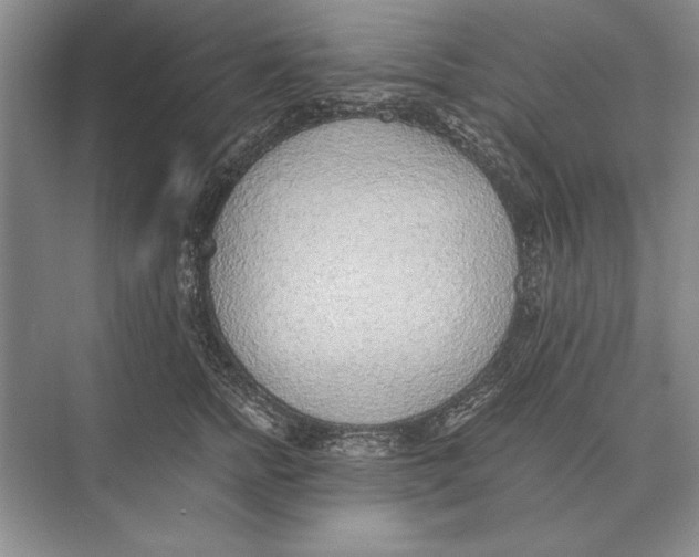 X0000072530758200608111746