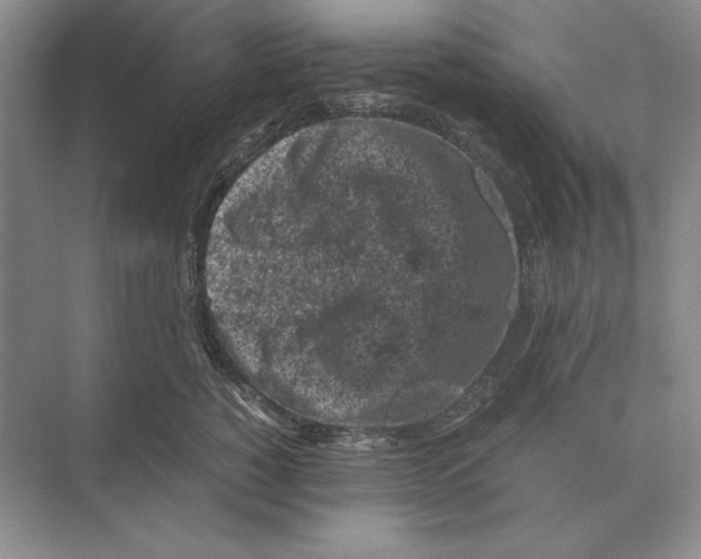 X0000072530760200608111746