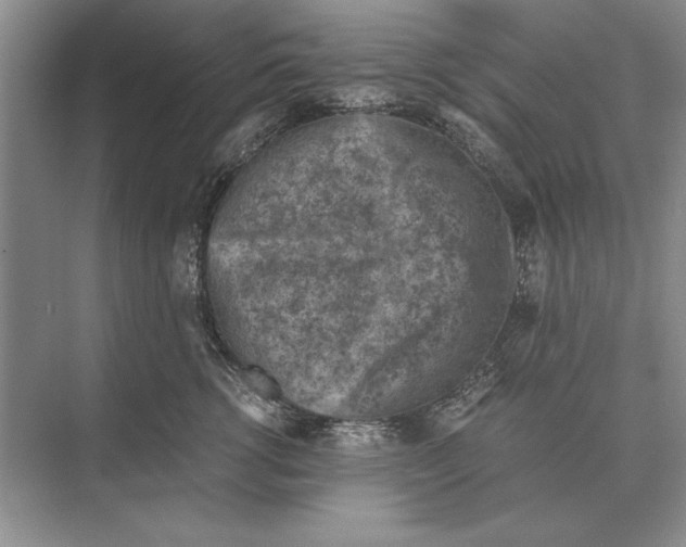 X0000072530762200608111746